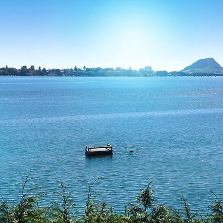 Apartment Near The Water Тауранга Екстер'єр фото